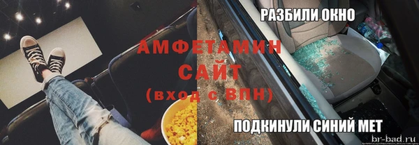 индика Инсар