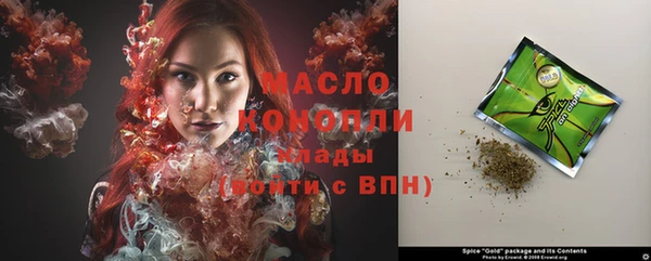 индика Инсар