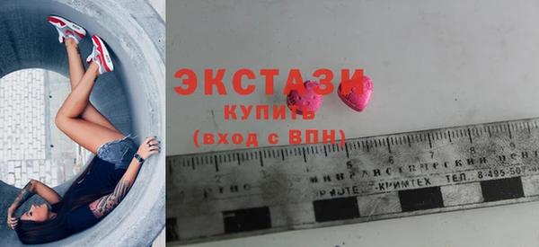 индика Инсар
