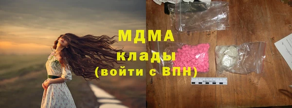 трава Инта