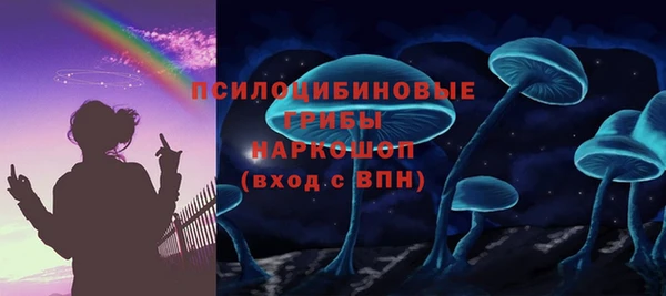 индика Инсар