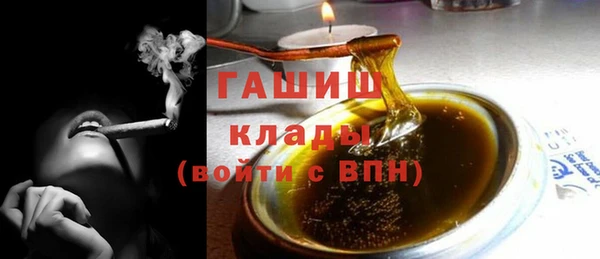 индика Инсар