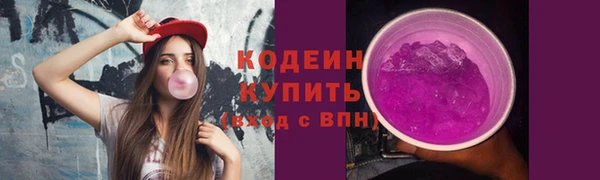 трава Инта