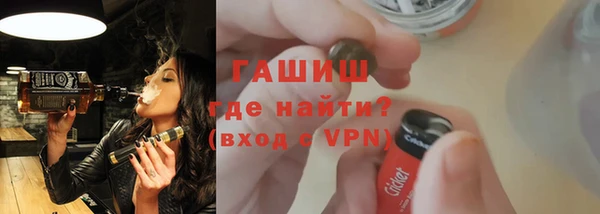 индика Инсар