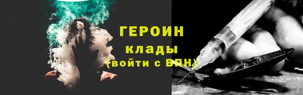 индика Инсар