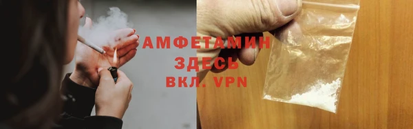 индика Инсар