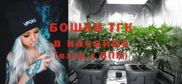 трава Инта
