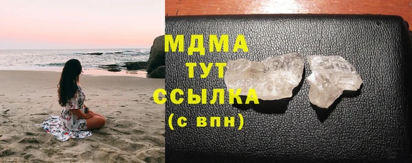 индика Инсар