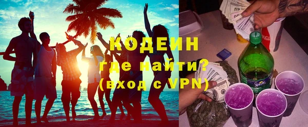 трава Инта
