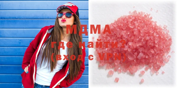 индика Инсар