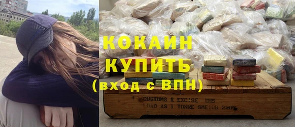 индика Инсар