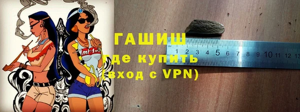 индика Инсар
