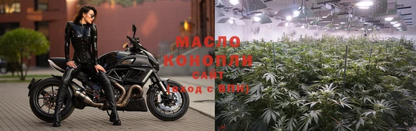 индика Инсар