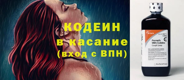 трава Инта