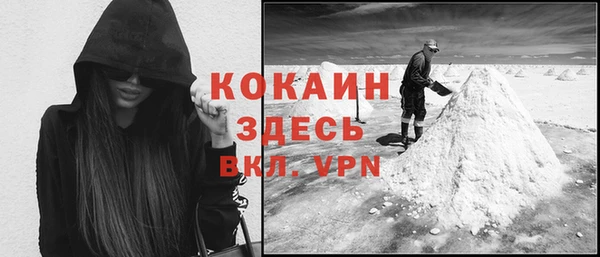 индика Инсар