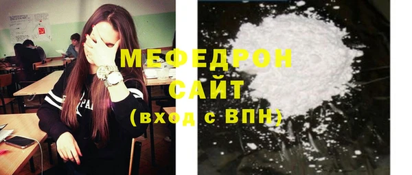 индика Инсар