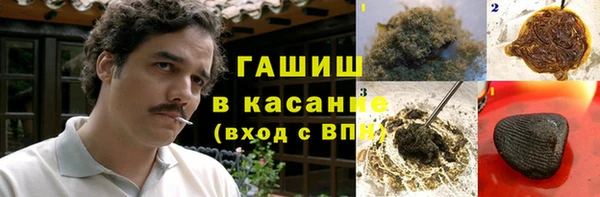 индика Инсар