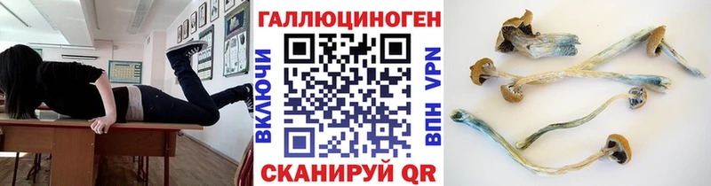 Псилоцибиновые грибы GOLDEN TEACHER Закаменск