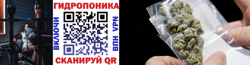 Бошки Шишки семена  Купить закладки  Закаменск 